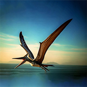 Pteranodon