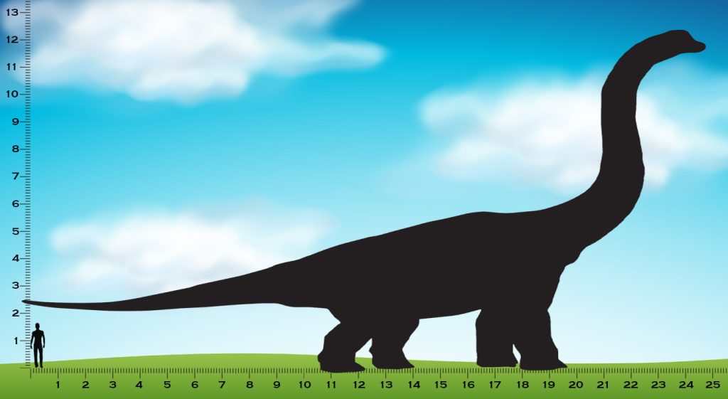 brachiosaurus size comparison