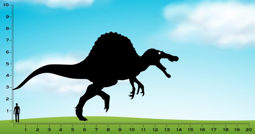 how big is a spinosaurus