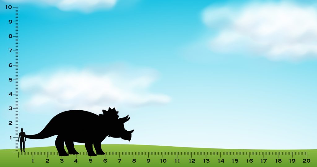 size of a triceratops