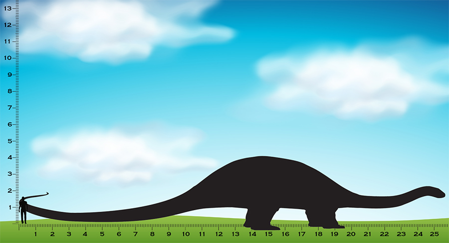 diplodocus size