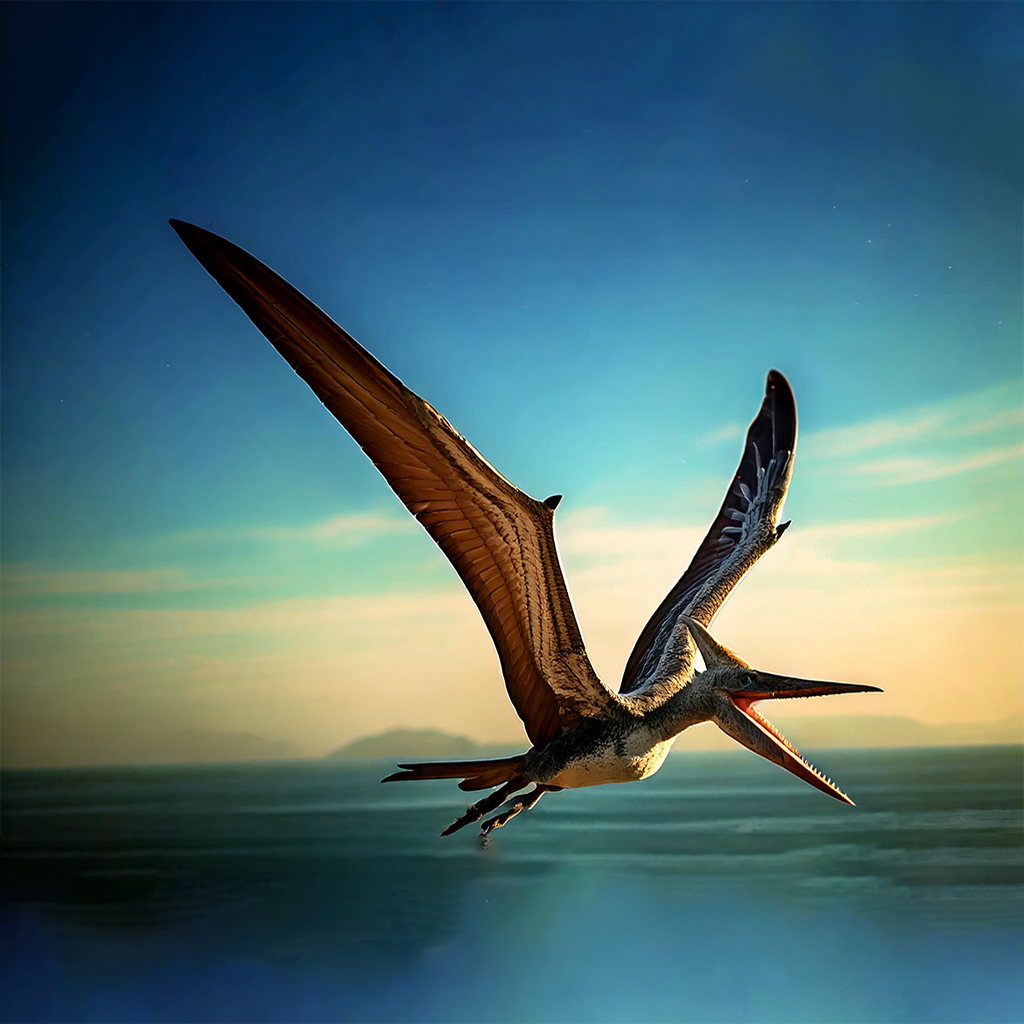 pteranodon pictures for kids