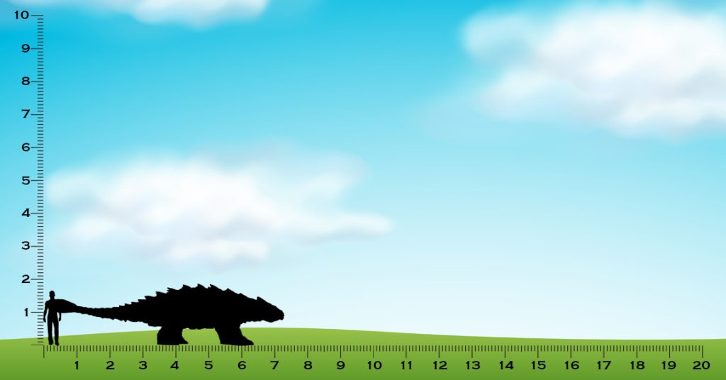 ankylosaurus size comparison