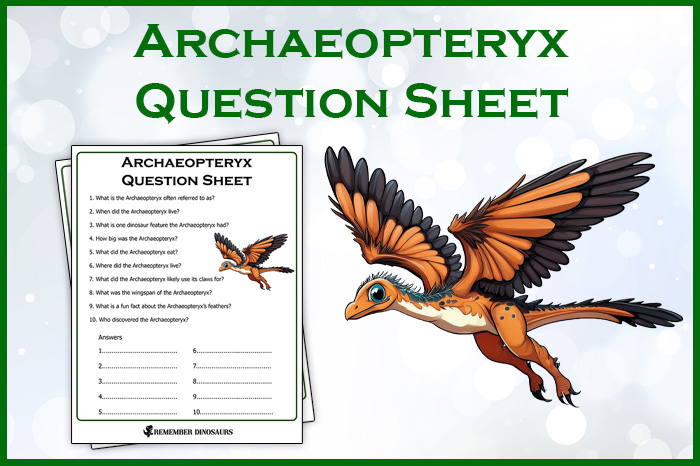 Archaeopteryx Questions & Answers Sheets