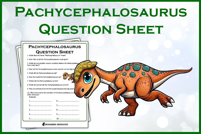 Pachycephalosaurus Questions & Answers