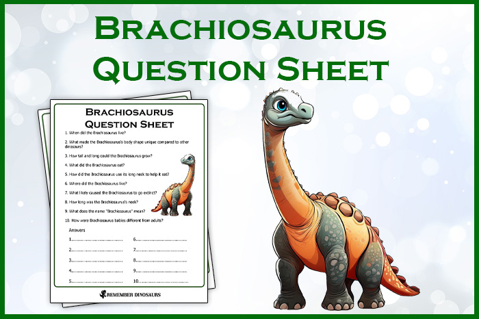 Brachiosaurus Questions And Answers