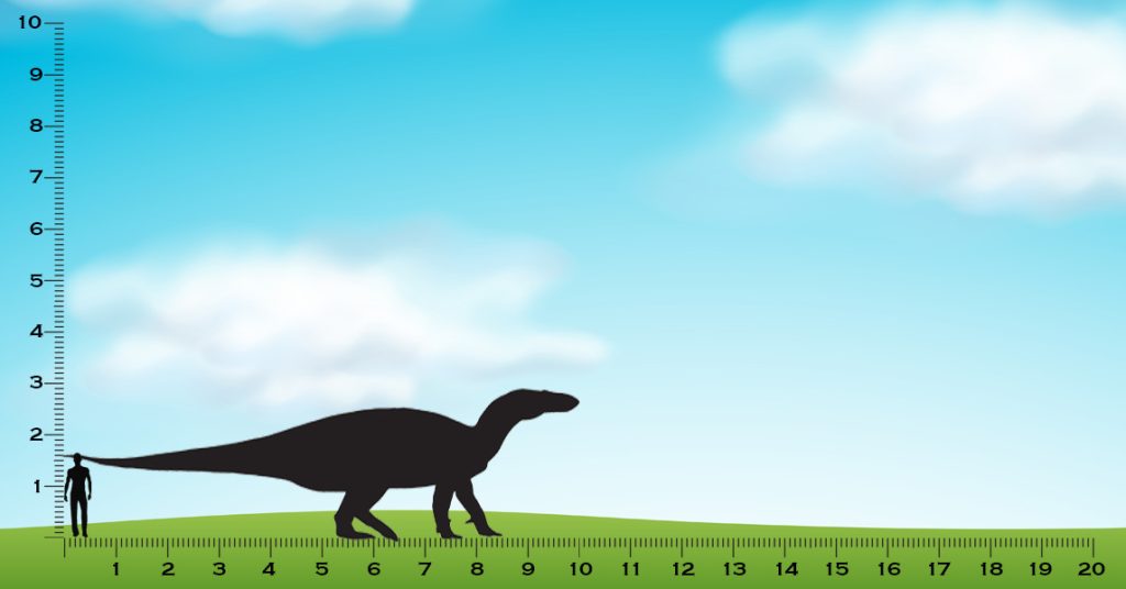 Iguanodon size